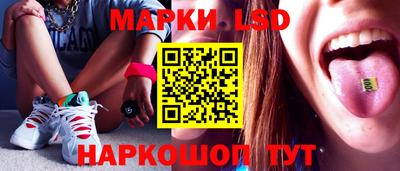крисы Краснодар