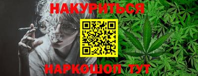 крисы Краснодар