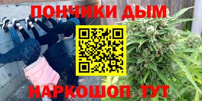 крисы Краснодар