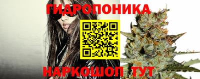 крисы Краснодар