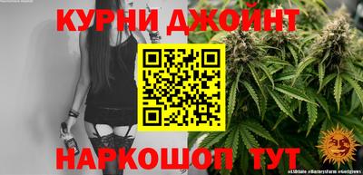 крисы Краснодар