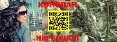крисы Краснодар