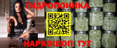 крисы Краснодар