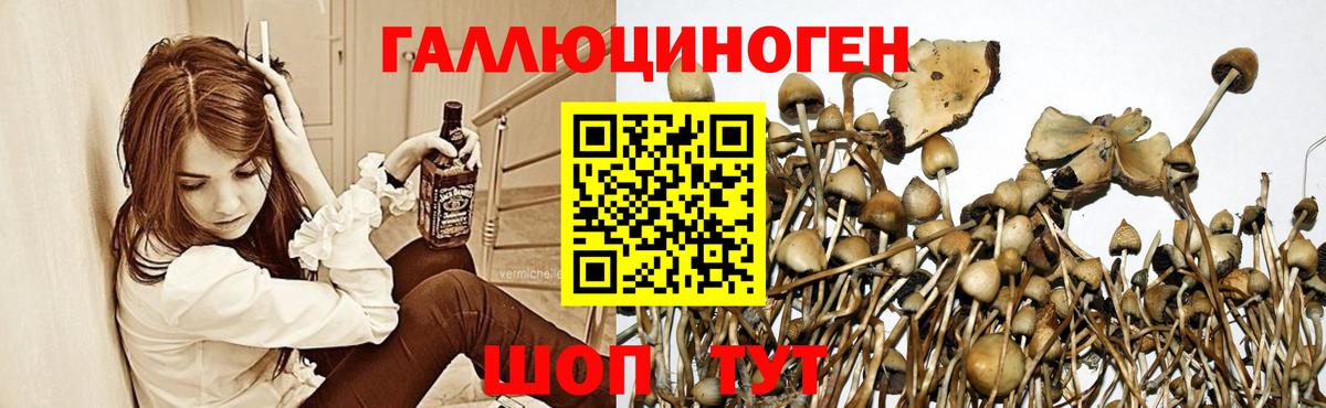 Псилоцибиновые грибы ЛСД Ивантеевка